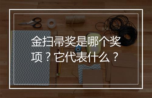 金扫帚奖是哪个奖项？它代表什么？