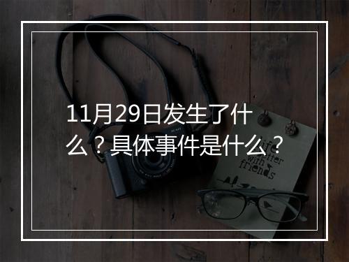 11月29日发生了什么？具体事件是什么？