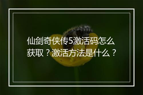 仙剑奇侠传5激活码怎么获取？激活方法是什么？