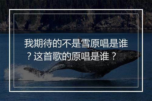 我期待的不是雪原唱是谁？这首歌的原唱是谁？