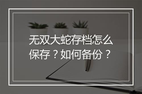 无双大蛇存档怎么保存？如何备份？