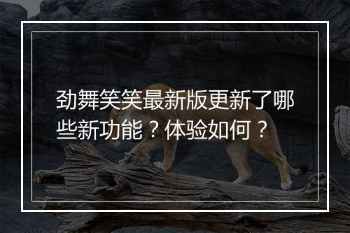 劲舞笑笑最新版更新了哪些新功能？体验如何？