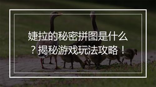 婕拉的秘密拼图是什么？揭秘游戏玩法攻略！