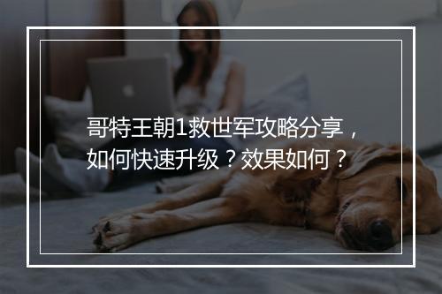 哥特王朝1救世军攻略分享，如何快速升级？效果如何？