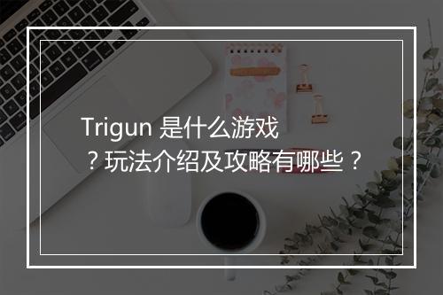 Trigun 是什么游戏？玩法介绍及攻略有哪些？