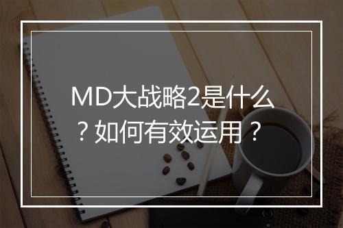 MD大战略2是什么？如何有效运用？