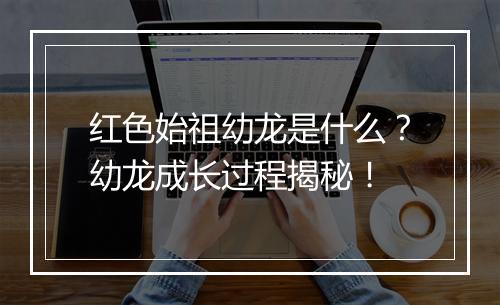 红色始祖幼龙是什么？幼龙成长过程揭秘！