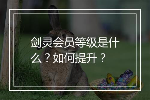 剑灵会员等级是什么？如何提升？