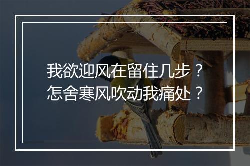 我欲迎风在留住几步？怎舍寒风吹动我痛处？