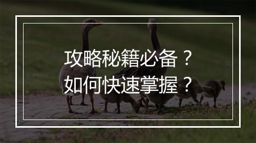 攻略秘籍必备？如何快速掌握？