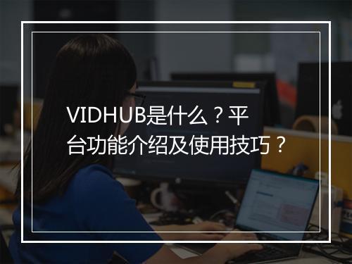 VIDHUB是什么？平台功能介绍及使用技巧？