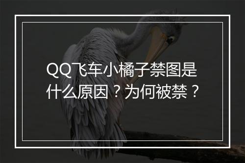 QQ飞车小橘子禁图是什么原因？为何被禁？