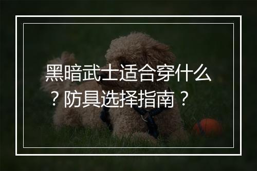 黑暗武士适合穿什么？防具选择指南？