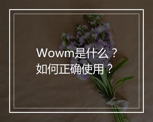 Wowm是什么？如何正确使用？