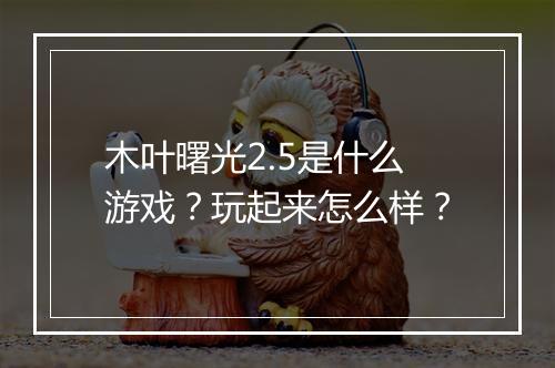 木叶曙光2.5是什么游戏？玩起来怎么样？
