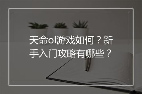 天命ol游戏如何？新手入门攻略有哪些？