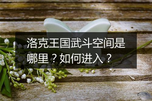 洛克王国武斗空间是哪里？如何进入？