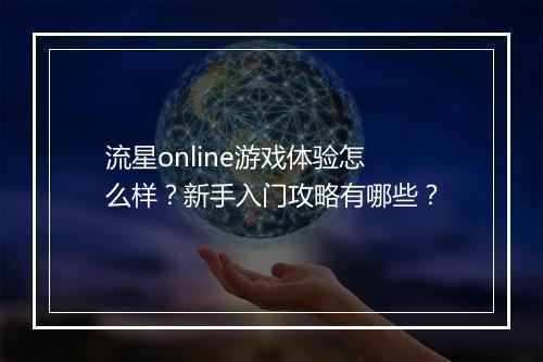 流星online游戏体验怎么样？新手入门攻略有哪些？