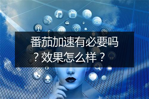 番茄加速有必要吗？效果怎么样？
