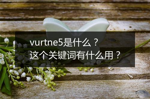 vurtne5是什么？这个关键词有什么用？