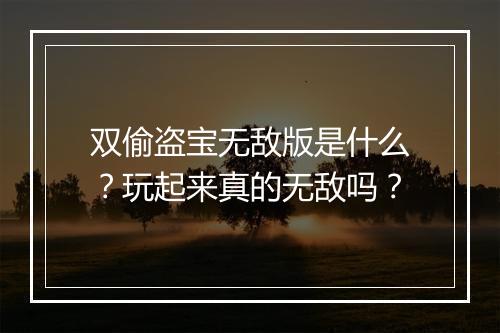 双偷盗宝无敌版是什么？玩起来真的无敌吗？