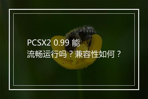 PCSX2 0.99 能流畅运行吗？兼容性如何？