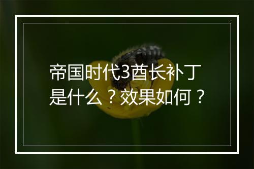 帝国时代3酋长补丁是什么？效果如何？