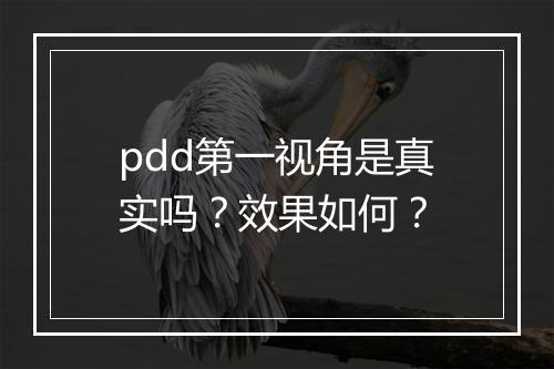 pdd第一视角是真实吗？效果如何？