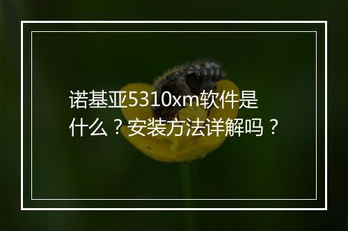 诺基亚5310xm软件是什么？安装方法详解吗？