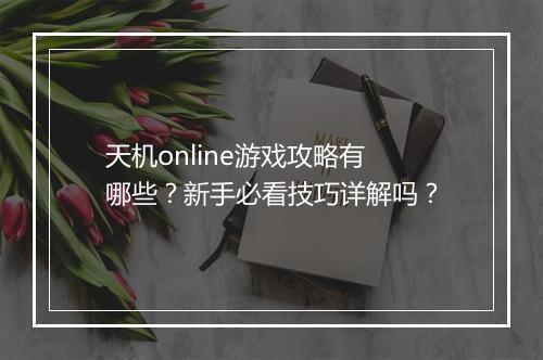 天机online游戏攻略有哪些？新手必看技巧详解吗？
