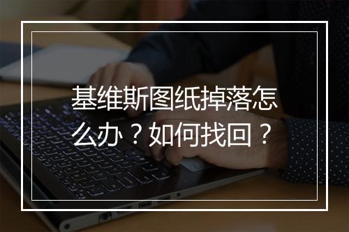 基维斯图纸掉落怎么办？如何找回？