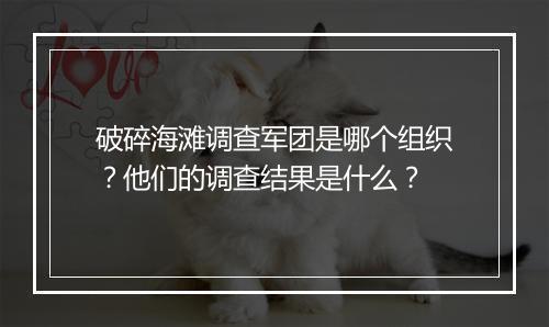 破碎海滩调查军团是哪个组织？他们的调查结果是什么？