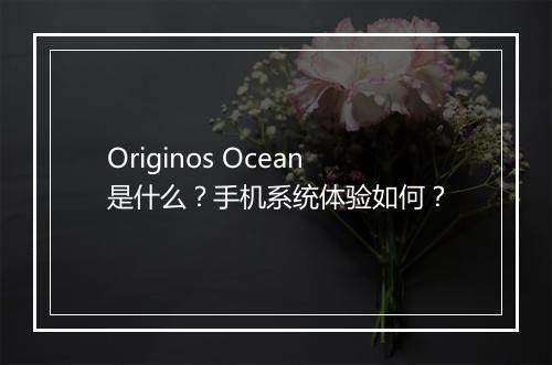Originos Ocean是什么？手机系统体验如何？