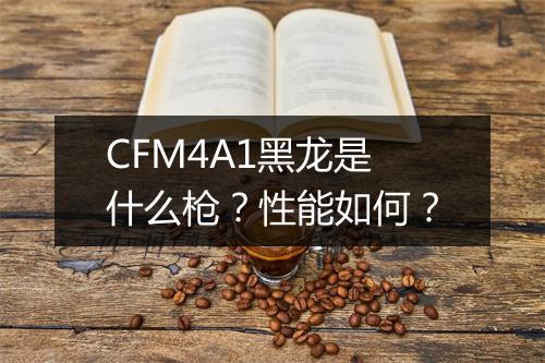 CFM4A1黑龙是什么枪？性能如何？