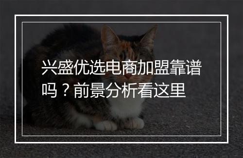 兴盛优选电商加盟靠谱吗？前景分析看这里
