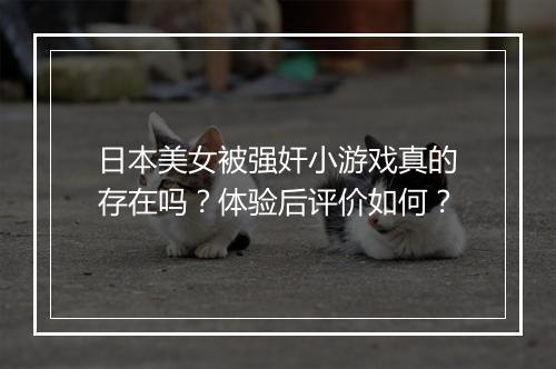 日本美女被强奸小游戏真的存在吗？体验后评价如何？