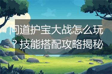 问道护宝大战怎么玩？技能搭配攻略揭秘