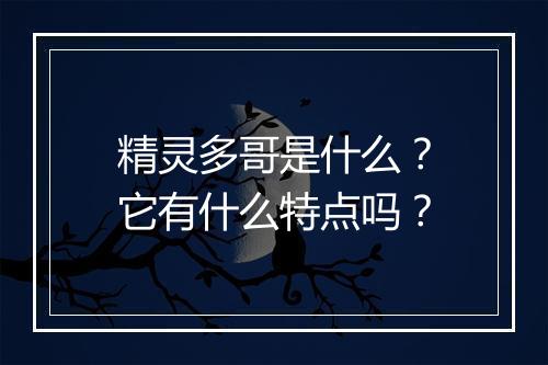 精灵多哥是什么？它有什么特点吗？