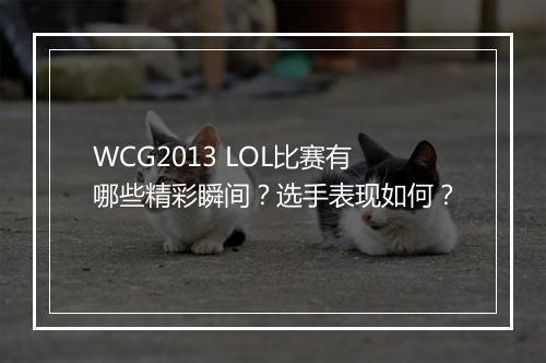 WCG2013 LOL比赛有哪些精彩瞬间？选手表现如何？