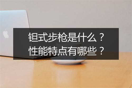 钽式步枪是什么？性能特点有哪些？
