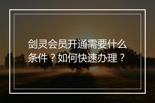 剑灵会员开通需要什么条件？如何快速办理？