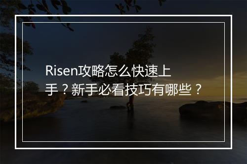 Risen攻略怎么快速上手？新手必看技巧有哪些？
