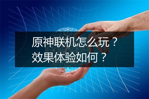 原神联机怎么玩？效果体验如何？