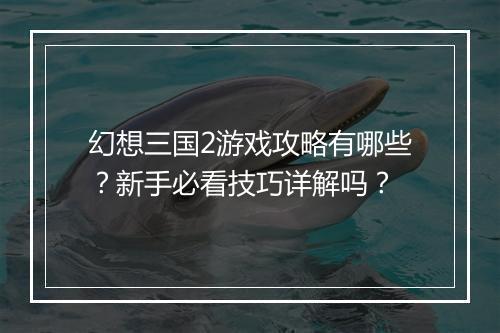 幻想三国2游戏攻略有哪些？新手必看技巧详解吗？
