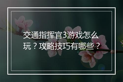 交通指挥官3游戏怎么玩？攻略技巧有哪些？