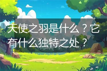 天使之羽是什么？它有什么独特之处？