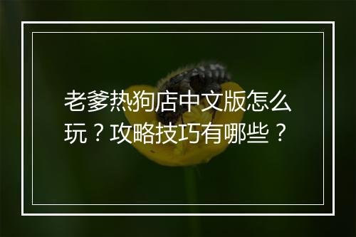 老爹热狗店中文版怎么玩？攻略技巧有哪些？