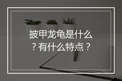 披甲龙龟是什么？有什么特点？
