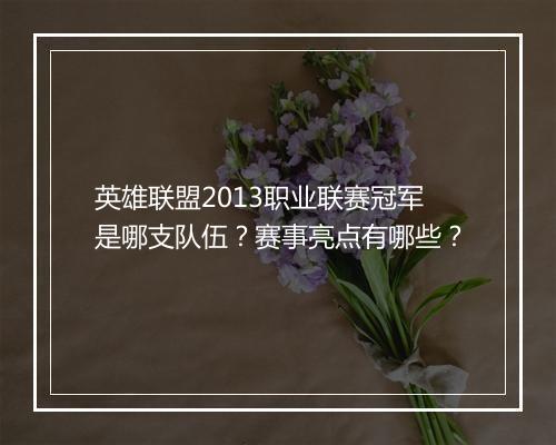 英雄联盟2013职业联赛冠军是哪支队伍？赛事亮点有哪些？