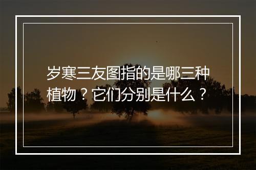岁寒三友图指的是哪三种植物？它们分别是什么？